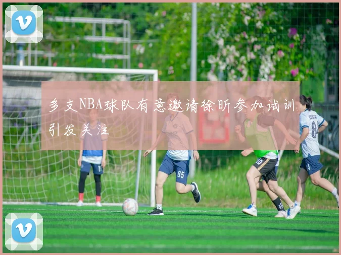 多支NBA球队有意邀请徐昕参加试训引发关注
